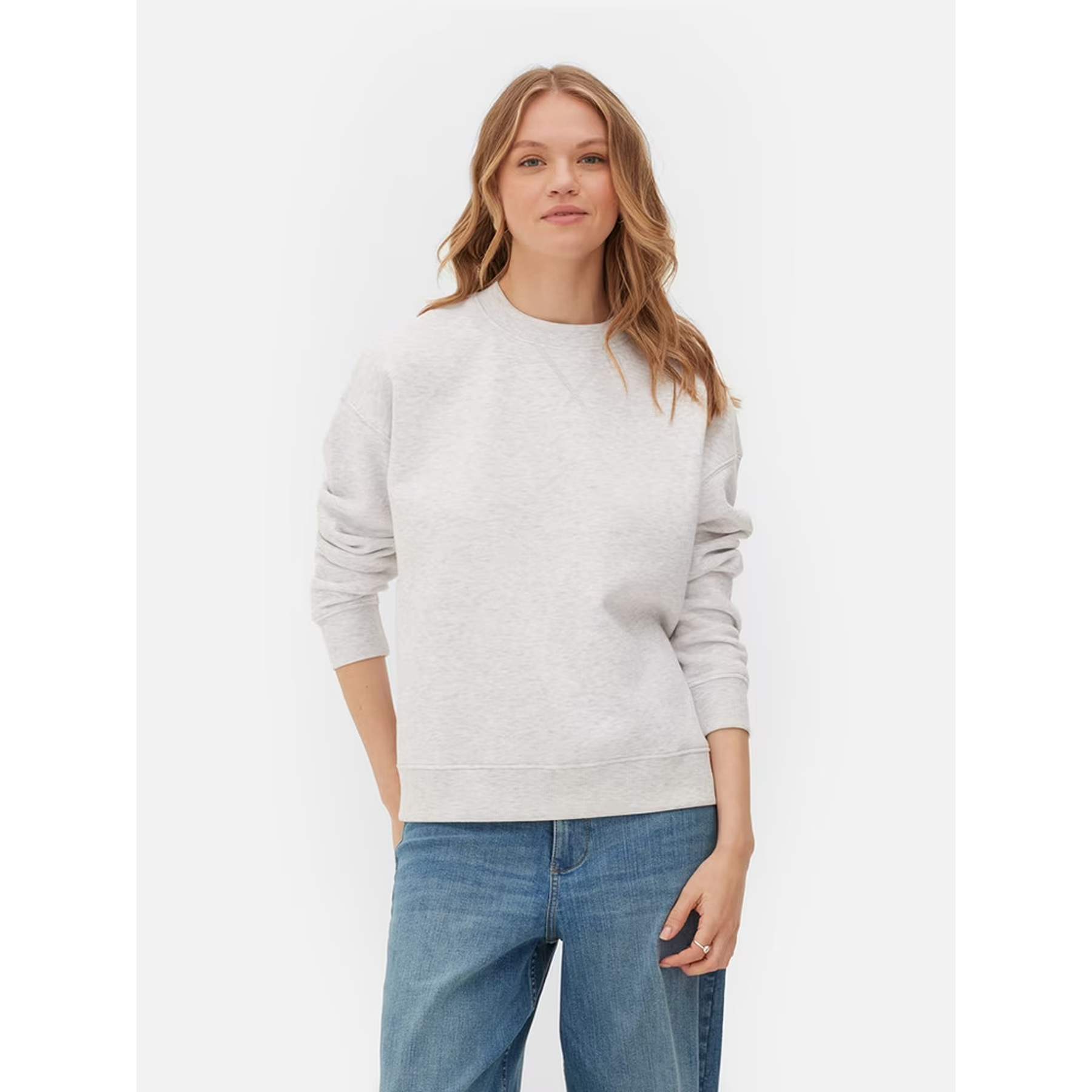 Grey Basic Regular Fit Sweatshirt